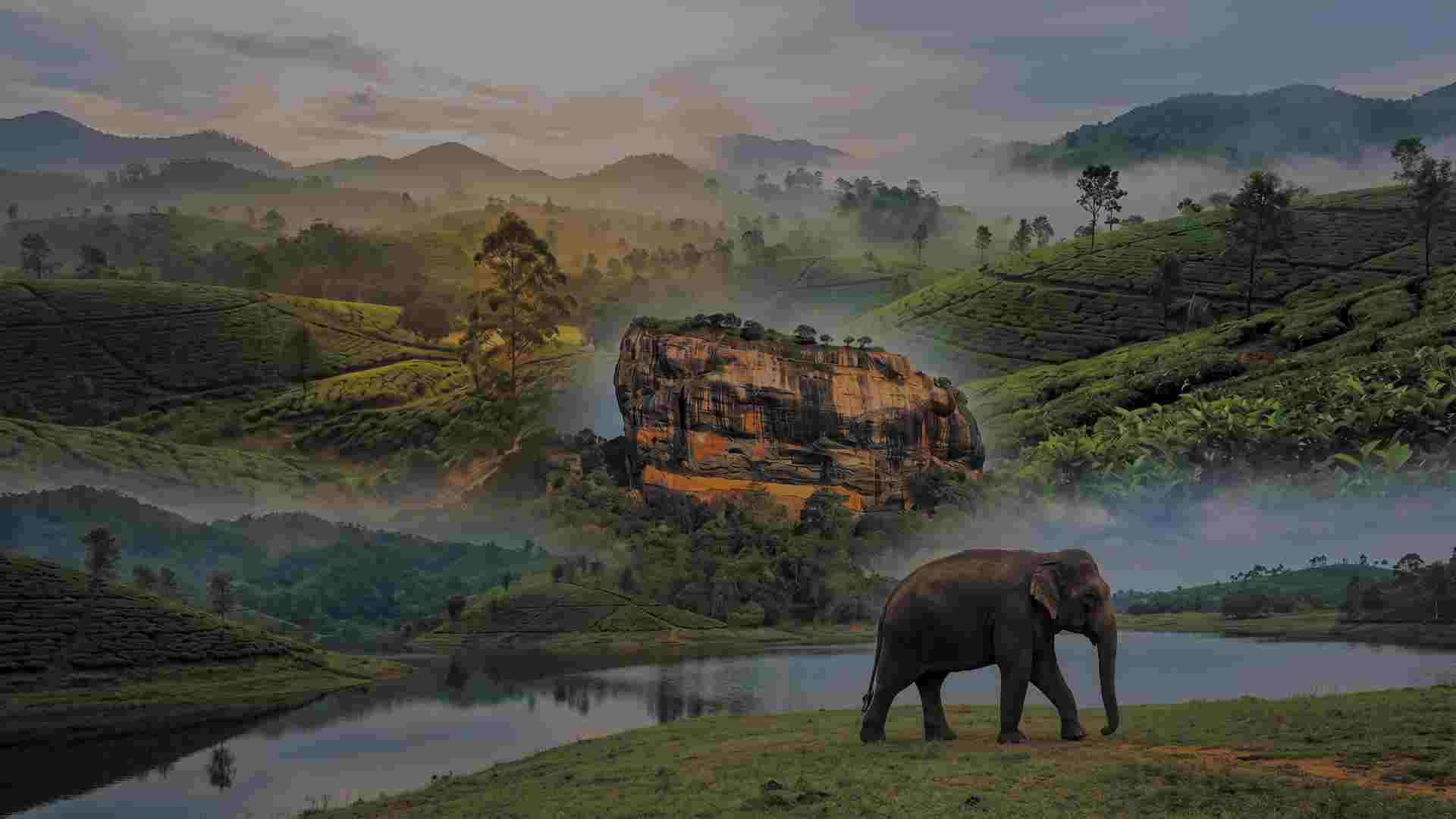The Essential Sri Lanka Highlights