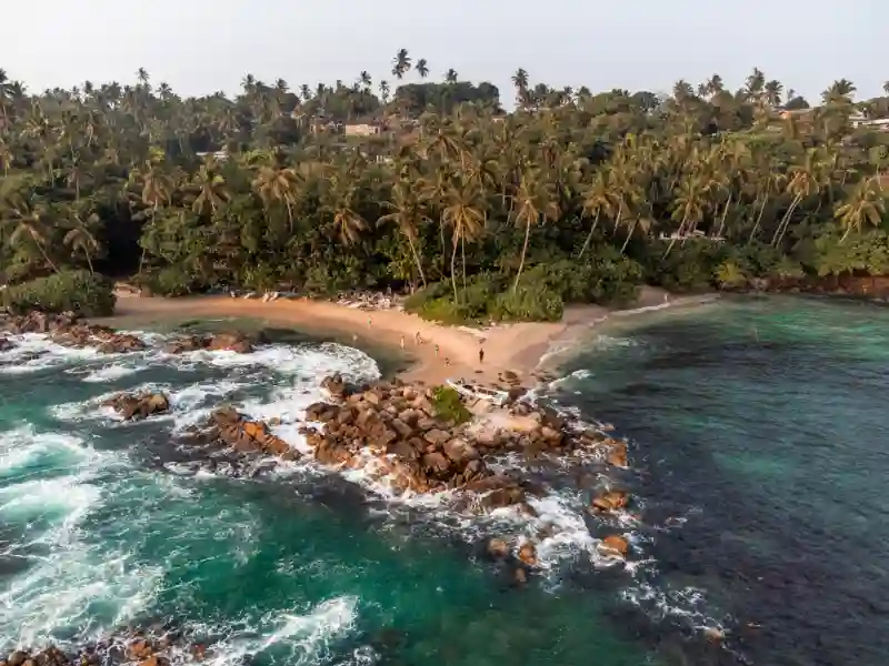 Tropical Coast & Wilderness Retreat